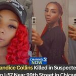 Candice Collins Obituary: Woman Identified After Fatal Suspected Hit-and-Run Crash on I-57 Near 99th Street in Chicago