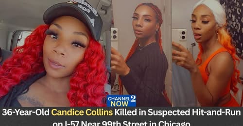 Candice Collins Obituary: Woman Identified After Fatal Suspected Hit-and-Run Crash on I-57 Near 99th Street in Chicago