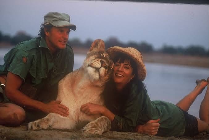 Gillian van Houten Obituary: Former SABC News Icon and Veteran South African Broadcaster Dies at 72